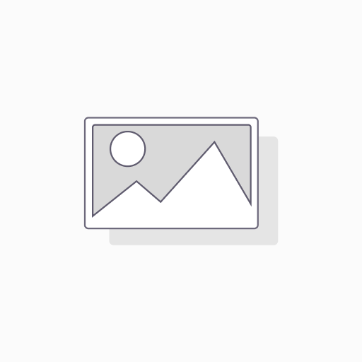 Everest Hing Raj(50gx120)